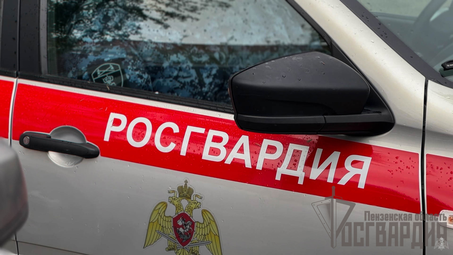 В Пензенской области росгвардейцы поддержали Всероссийскую акцию «Бессмертный автополк»
