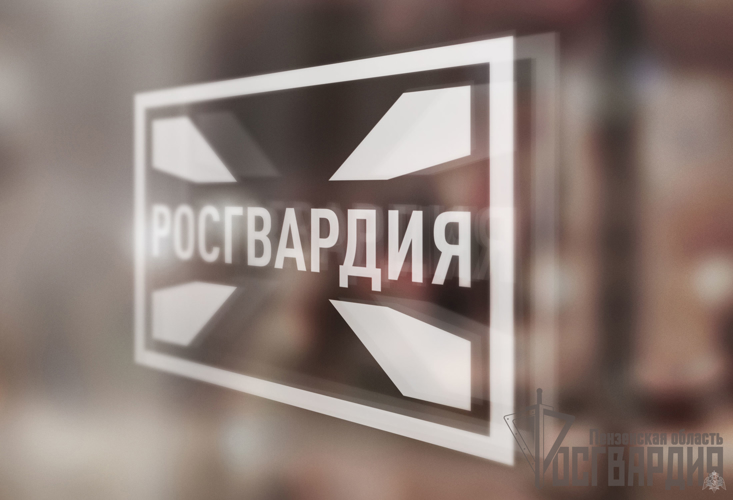 Пензенские росгвардейцы подвели итоги проверок объектов топливно-энергетического комплекса