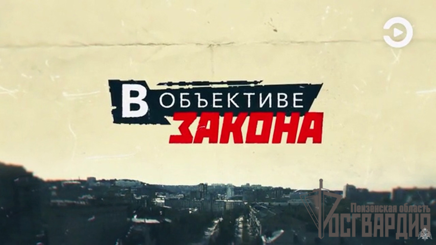 Новый выпуск программы: В объективе закона - Программа №291