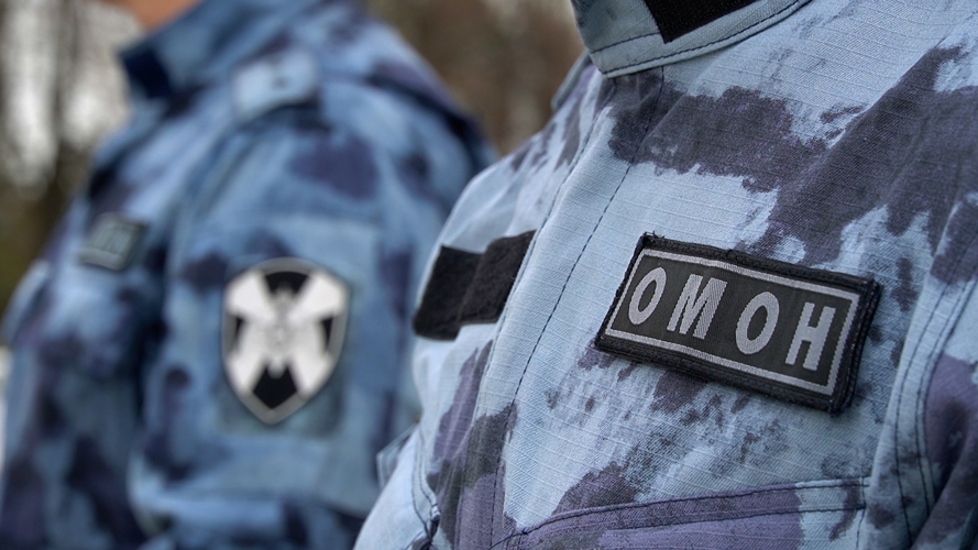 В Пензе сотрудники Росгвардии и полиции задержали участника уличной драки 