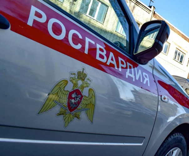 Бойцы Росгвардии задержала дебоширов, нарушавших ночной покой жителей на улице Плеханова