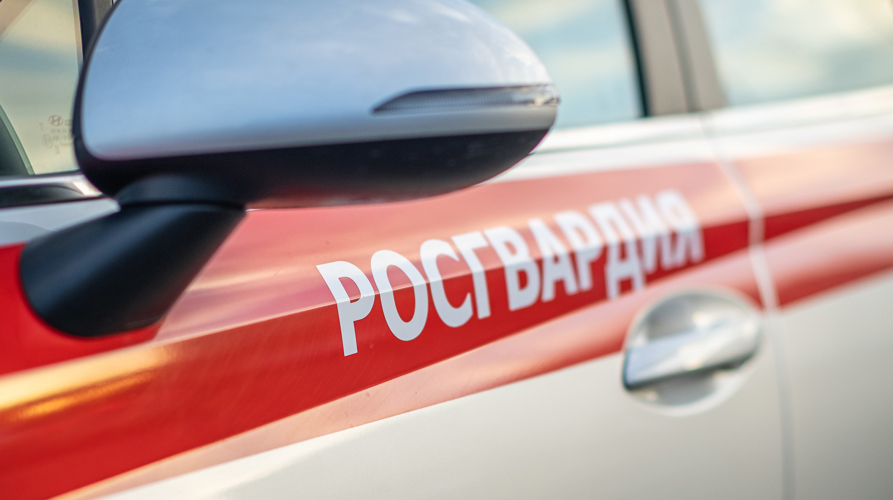 В Пензе росгвардейцы задержали женщину, нанесшую колотое ранение отцу