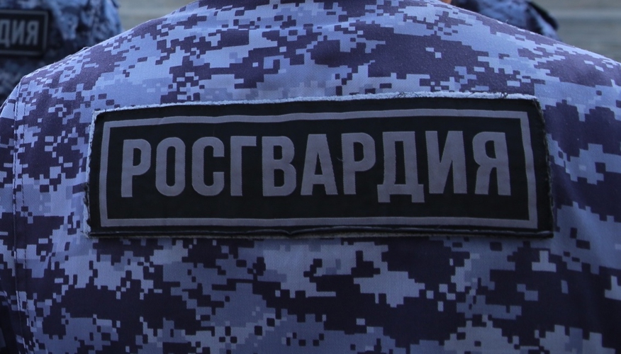 В День молодежи безопасность в Пензенской области усилят Росгвардия и полиция