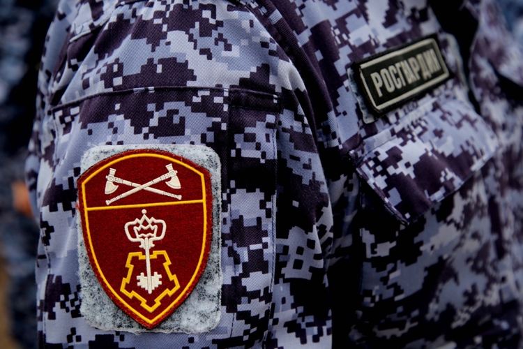 В Пензе при взаимодействии с сотрудниками Росгвардии возбуждено уголовное дело в отношении гендиректора ЧОО