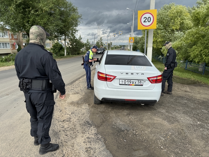При содействии Росгвардии прошло масштабное оперативно-профилактическое мероприятие, направленное на обеспечение общественного порядка в Пензенской области