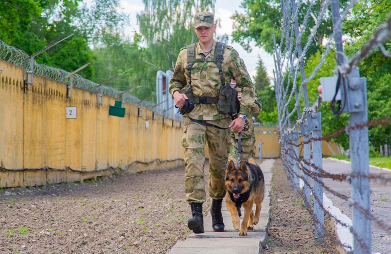 21 июня – День кинолога Росгвардии: четвероногие бойцы на страже порядка (видео)