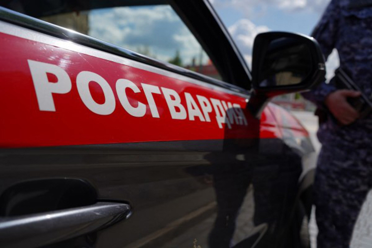 Житель Пензы закатил пьяный скандал в ресторане и был задержан росгвардейцами