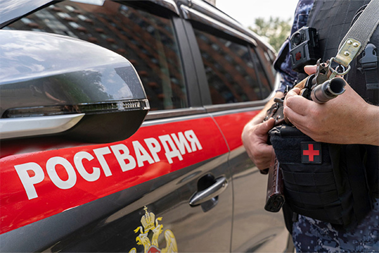 Бойцами Росгвардии задержан мужчина за нарушение тишины и общественного порядка в ночное время в Пензе