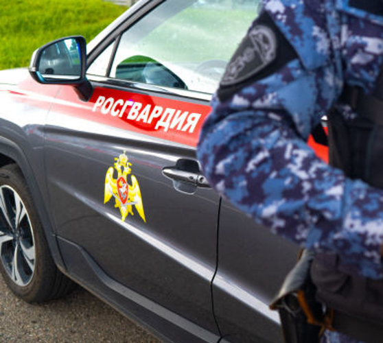 В Пензе бойцы Росгвардии задержали мужчину, подозреваемого в нанесении телесных повреждений супруге