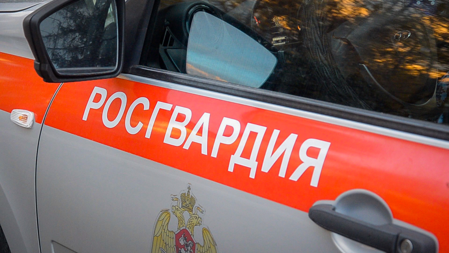 В Пензе росгвардейцы задержали мужчину за кражу дорогого алкоголя из магазина 