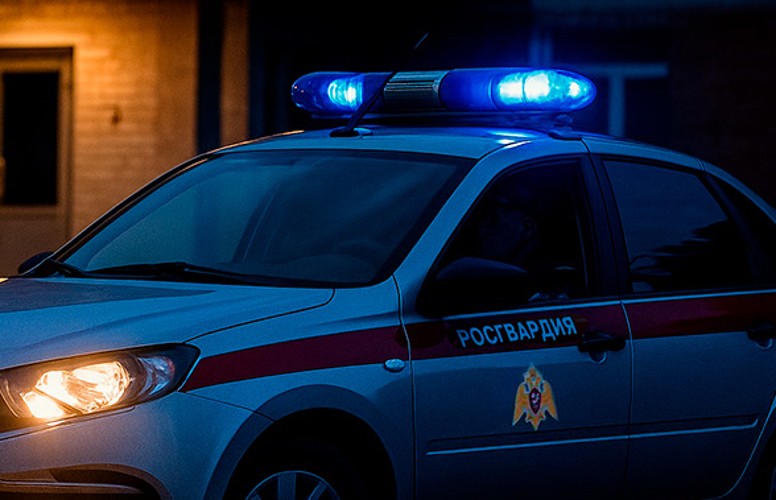 Росгвардейцы задержали пензенца, устроившего дебош в алко-кафе