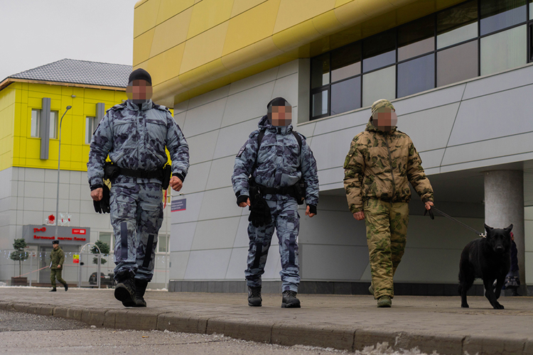 Росгвардейцы обеспечили безопасность пребывания поезда Деда Мороза в Пензе (видео)