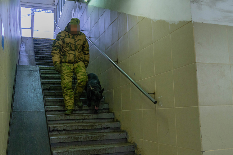 Росгвардейцы обеспечили безопасность пребывания поезда Деда Мороза в Пензе (видео)