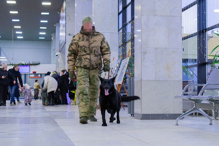 Росгвардейцы обеспечили безопасность пребывания поезда Деда Мороза в Пензе (видео)