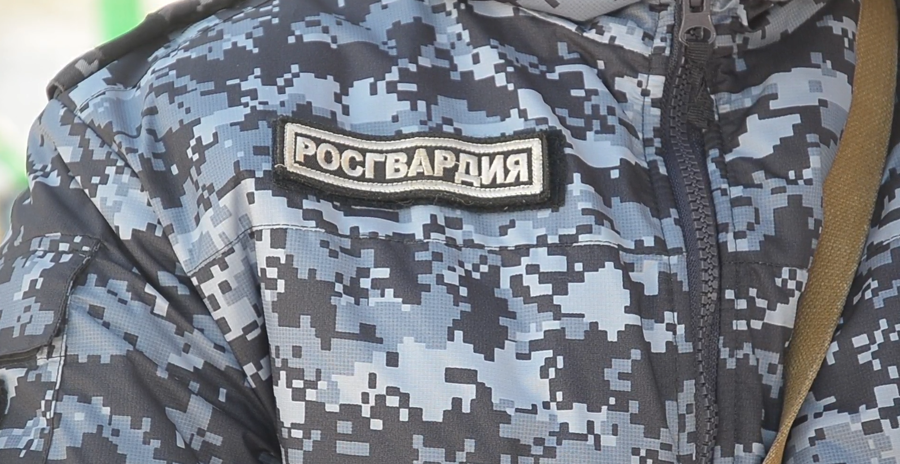 В Пензе росгвардейцы задержали хулигана, провоцировавшего охранников ТЦ на конфликт