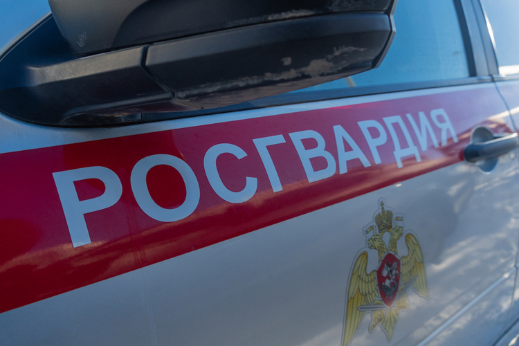 В Пензенской области Росгвардия усилит меры безопасности в новогодние праздники (видео)