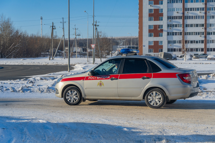 В Пензенской области Росгвардия усилит меры безопасности в новогодние праздники (видео)