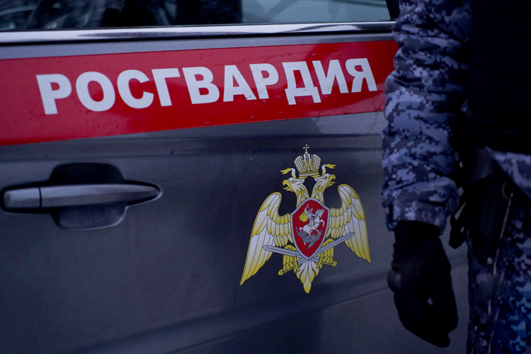 В Пензе росгвардейцы задержали нарушителя общественного порядка в торговом центре