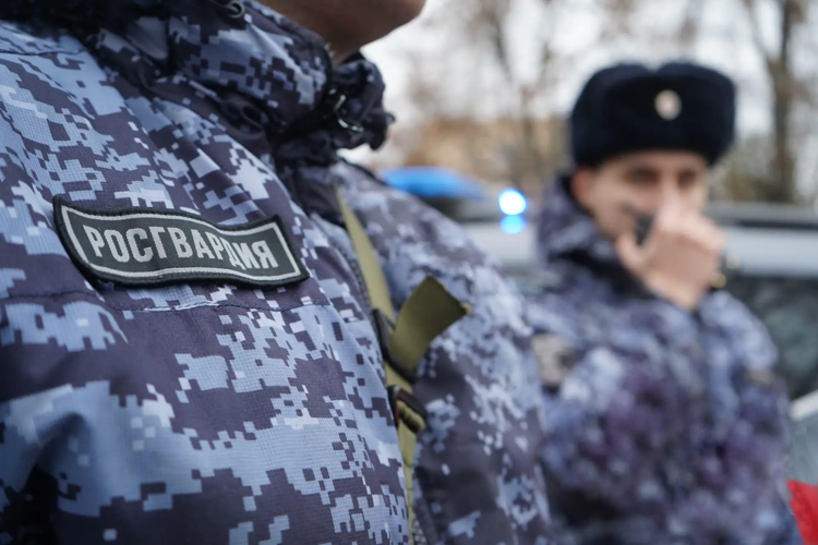 Сотрудники полиции и Росгвардии обеспечили общественный порядок на масленичных гуляньях в Пензенской области
