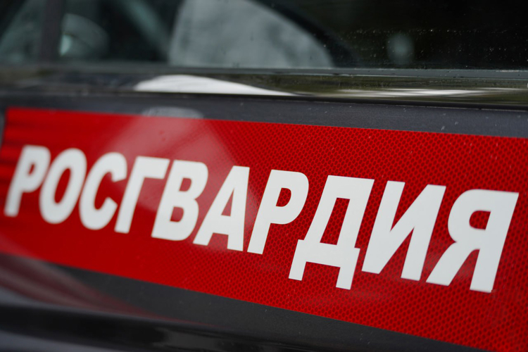 Росгвардейцы пресекли кулачный бой в ночном кафе Пензы