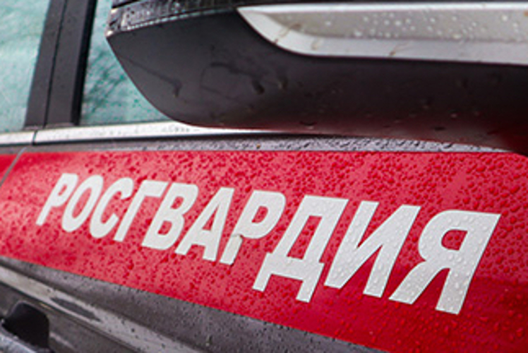 В Пензе бойцы Росгвардии задержали дебошира в ТЦ