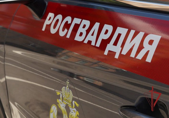 Росгвардейцы задержали мужчину, срывавшего работу продуктового магазина в Городище 