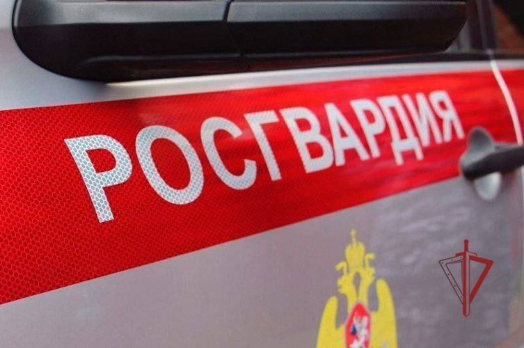 В Пензе росгвардейцы пресекли конфликт в одном из баров