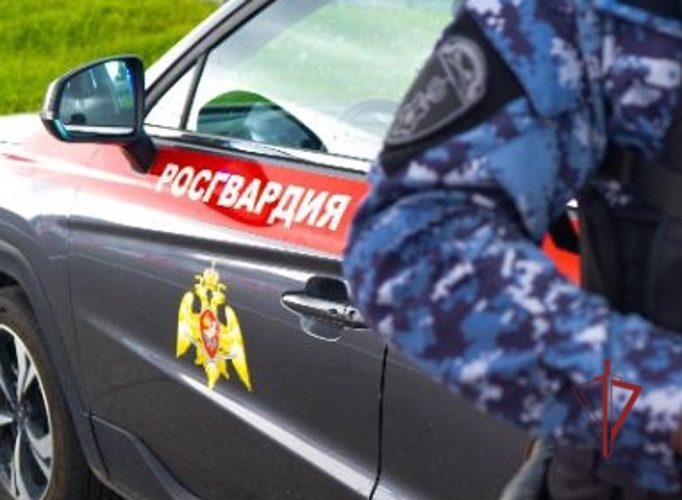 Сотрудники Росгвардии в Пензе пресекли нарушение тишины в ночное время