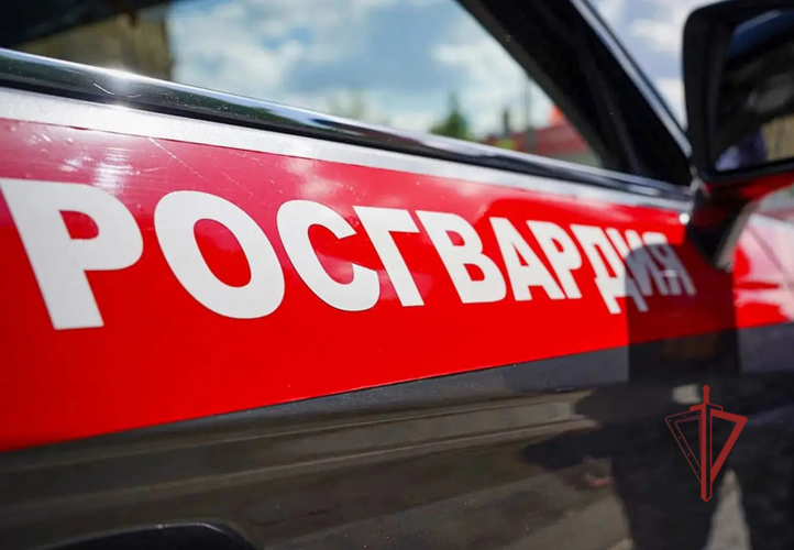 Сотрудники Росгвардии разняли драку в центре Пензы