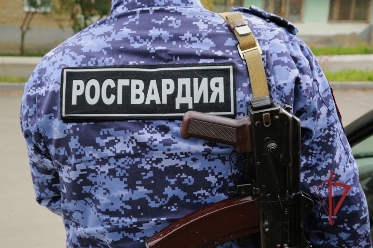 Испортить вечер не получилось: в Пензе росгвардейцы задержали пьяного скандалиста