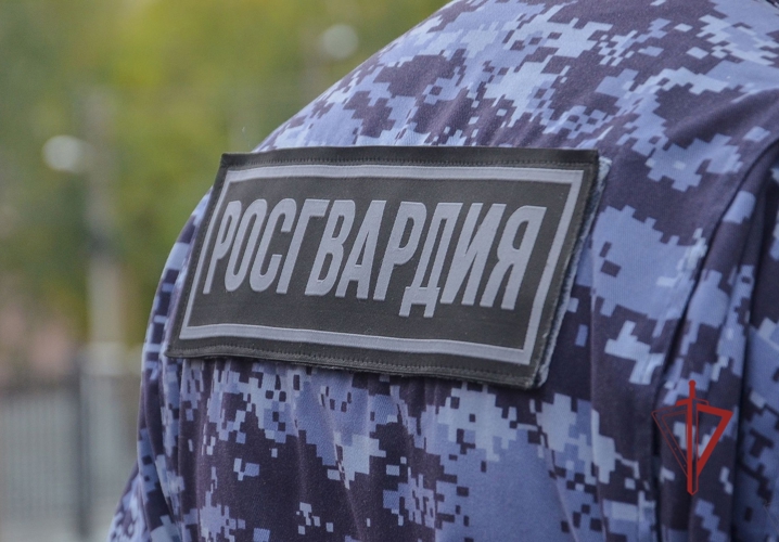 Росгвардейцы задержали неадекватную пензячку, выбежавшую на проезжую часть