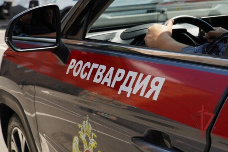 В Пензе сотрудники Росгвардии задержали мужчину, который криками и нецензурной бранью напугал жильцов многоквартирного дома