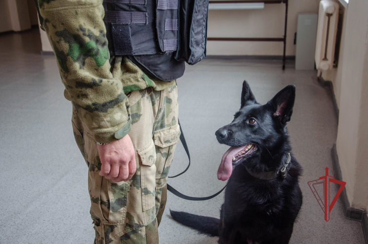 Более 800 сотрудников и военнослужащих Росгвардии обеспечили безопасность в дни выборов в Пензенской области